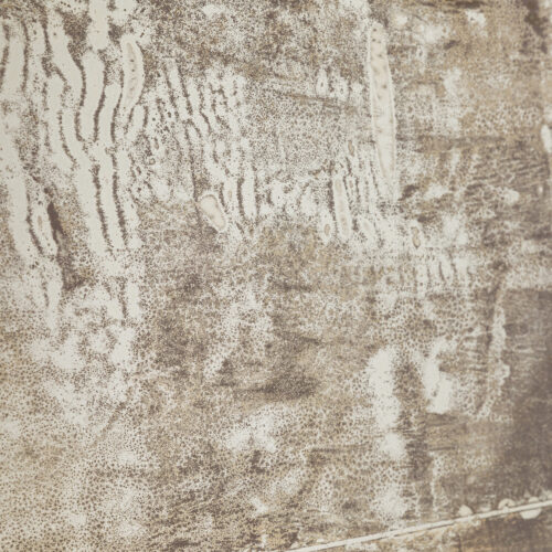 PWL 25.01.24 – IMG_8303
