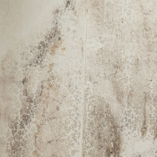 PWL 25.01.24 – IMG_8320